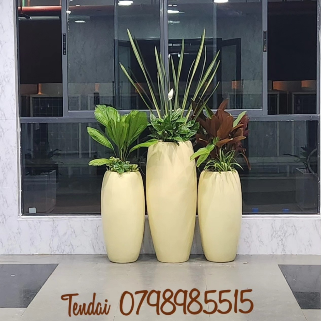 Our Services