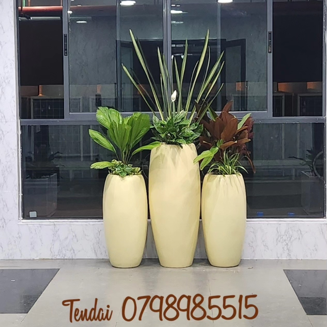 Our Services