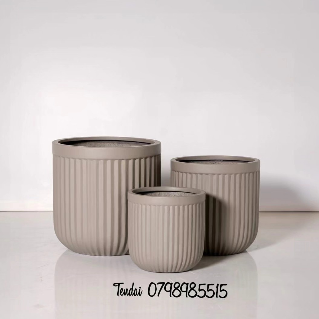 Our Services